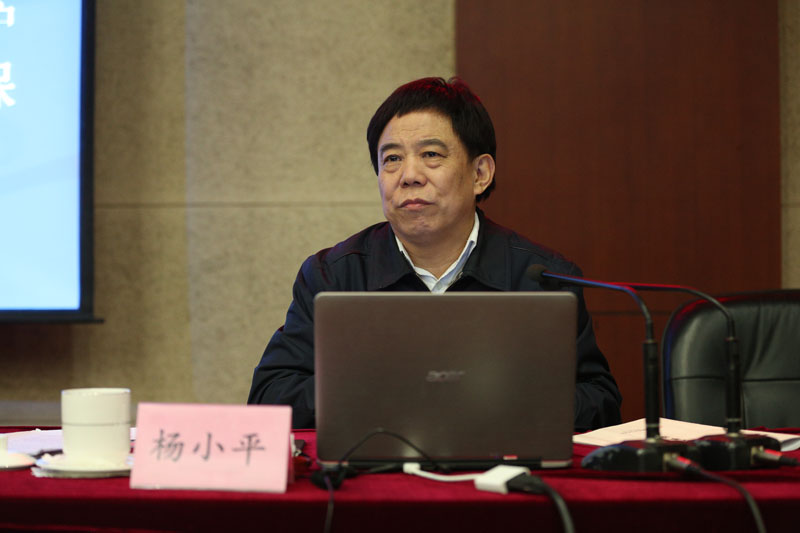 杨小平指出，干部出问题，组织有责任。目前党员干部队伍中出现的倾向式问题、潜在式问题、萌芽式问题和苗头式问题，党委（党组）要给予重视，进行及时的警示与纠正。杨小平强调，学习、贯彻和执行《中国共产党纪律处分条例》，首先要贯彻落实好总书记对加强两部法规学习宣传的重要指示；其次，各级党委（党组）要担当主体责任，抓好条例的贯彻落实；其三，党员干部要发挥表率作用。【文字：丁月牙 编审：彭可为 张林东】