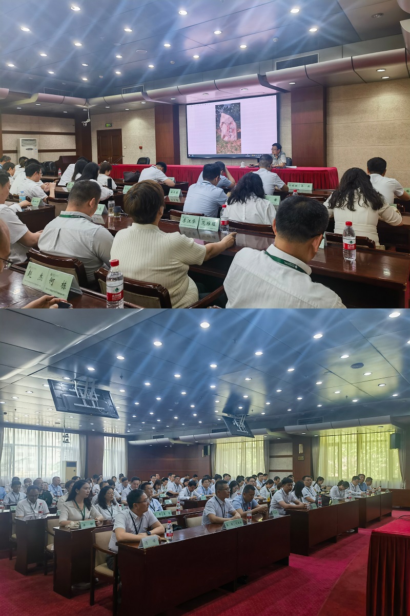 分班主任、教育行政教研部忽杰带领全体党员学习学院校园环境中教育家精神文化元素。